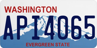 WA license plate API4065