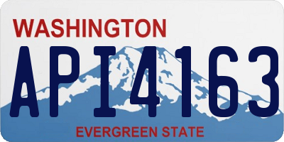 WA license plate API4163