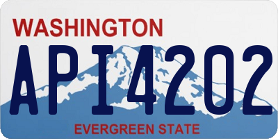 WA license plate API4202