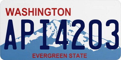 WA license plate API4203