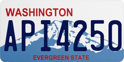 WA license plate API4250