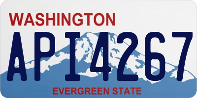 WA license plate API4267
