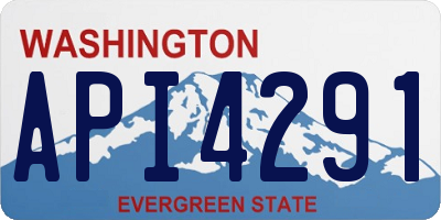 WA license plate API4291