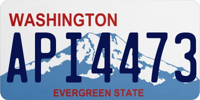 WA license plate API4473
