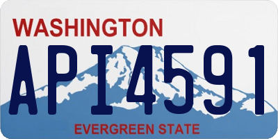 WA license plate API4591
