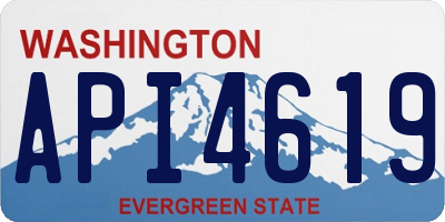 WA license plate API4619