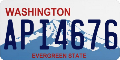 WA license plate API4676