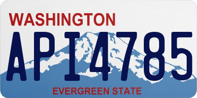 WA license plate API4785