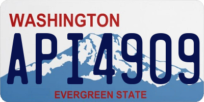 WA license plate API4909
