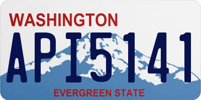 WA license plate API5141