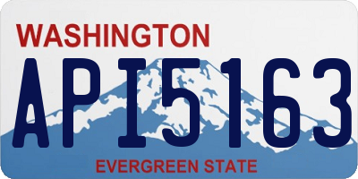 WA license plate API5163