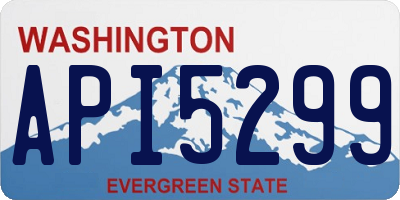 WA license plate API5299