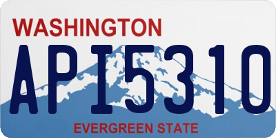 WA license plate API5310