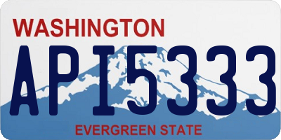WA license plate API5333