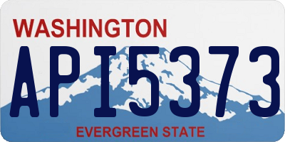 WA license plate API5373