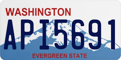 WA license plate API5691