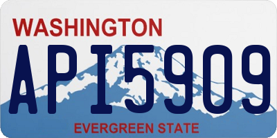 WA license plate API5909