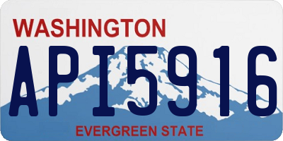 WA license plate API5916