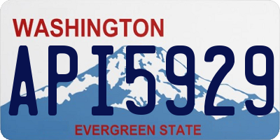 WA license plate API5929