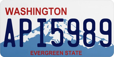 WA license plate API5989