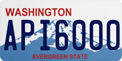 WA license plate API6000