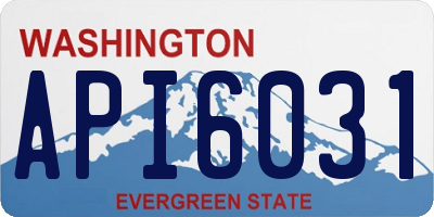 WA license plate API6031