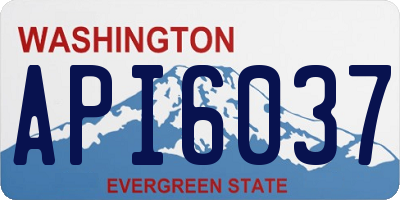 WA license plate API6037