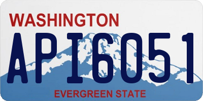 WA license plate API6051