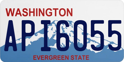 WA license plate API6055