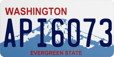 WA license plate API6073