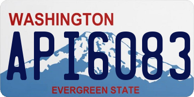 WA license plate API6083