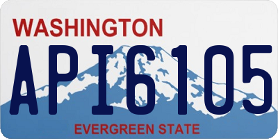 WA license plate API6105