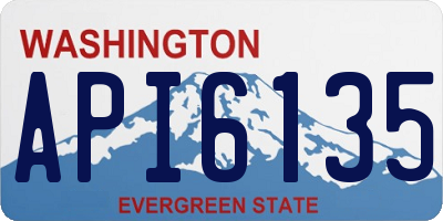 WA license plate API6135