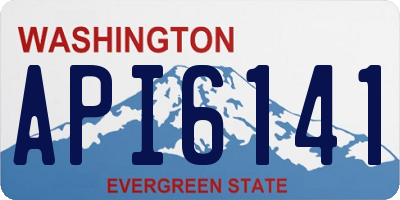 WA license plate API6141