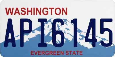 WA license plate API6145