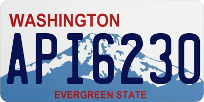 WA license plate API6230