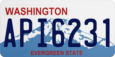 WA license plate API6231