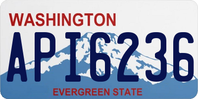 WA license plate API6236