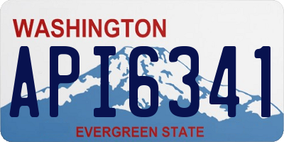 WA license plate API6341