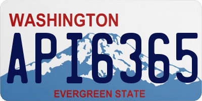 WA license plate API6365