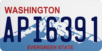 WA license plate API6391