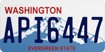 WA license plate API6447