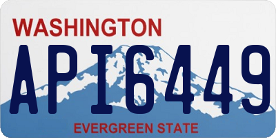 WA license plate API6449