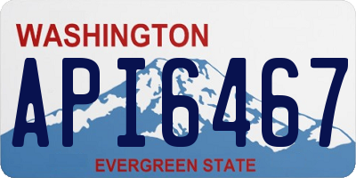 WA license plate API6467