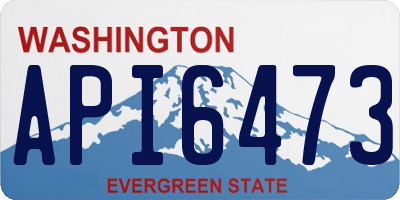 WA license plate API6473