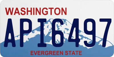 WA license plate API6497