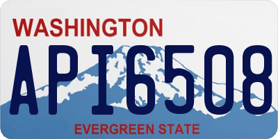 WA license plate API6508