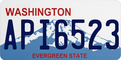 WA license plate API6523