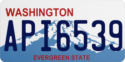 WA license plate API6539