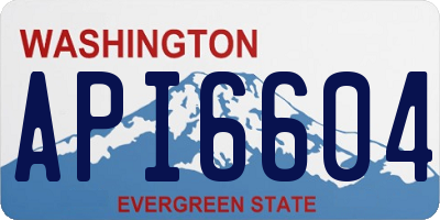 WA license plate API6604